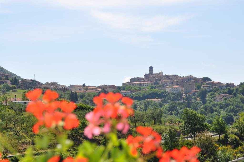 B&B La Palombara Giuliano di Roma Esterno foto